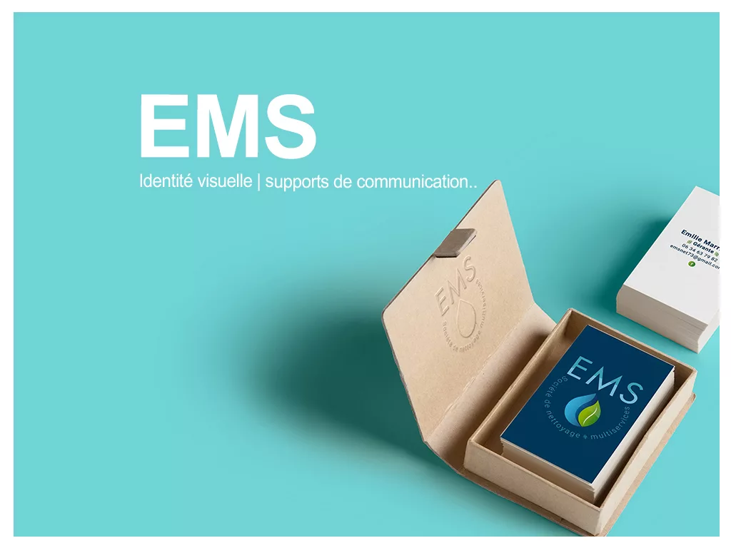 EMS Nettoyage et multi-services identité visuelle logotype logo supports de communication
