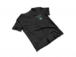 EMS Nettoyage et multi-services identité visuelle logotype logo supports de communication t-shirt