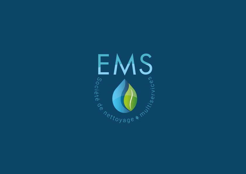 EMS Nettoyage et multi-services identité visuelle logotype logo supports de communication