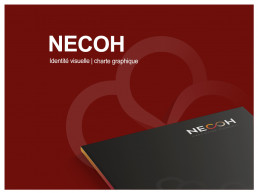 Necoh identité visuelle charte graphique logotype logo support de communication graphisme cabinet expertise conseil