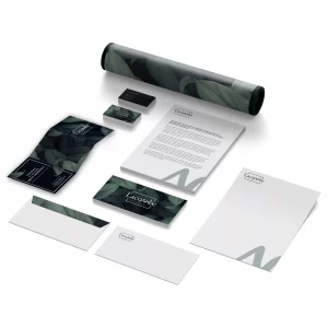 Pack identité visuelle, identité visuelle, Albertville, Maëstro Production, agence de communication